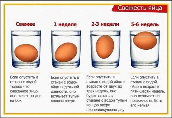 как проверить свежие перепелиные яйца или нет. Смотреть фото как проверить свежие перепелиные яйца или нет. Смотреть картинку как проверить свежие перепелиные яйца или нет. Картинка про как проверить свежие перепелиные яйца или нет. Фото как проверить свежие перепелиные яйца или нет