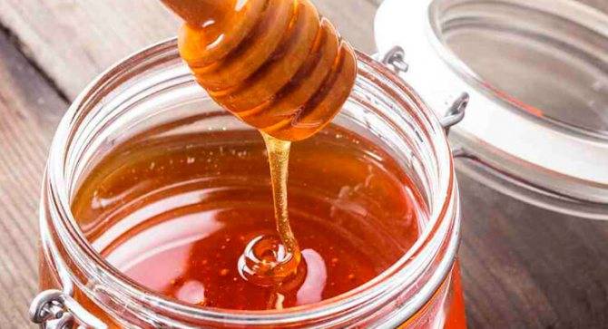 Гречишный мед — польза и вред для здоровья
