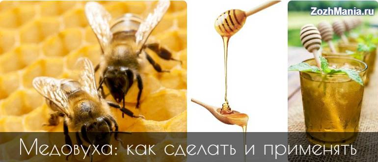 Польза и вред медовухи для организма человека