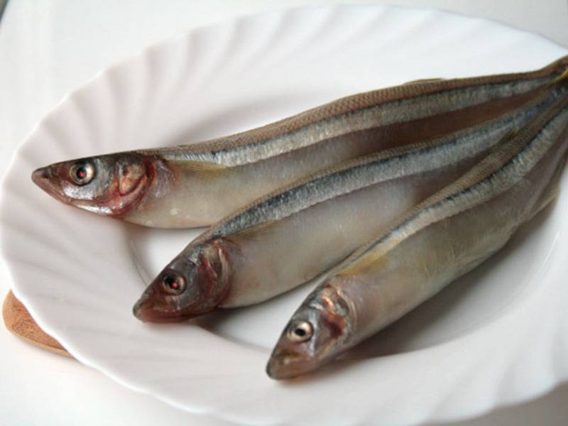 Рыба корюшка: польза и вред, среда обитания, приготовление