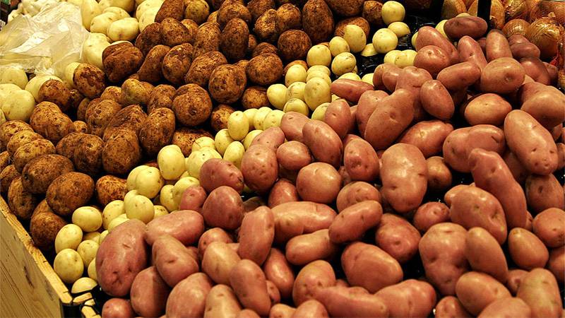 Картофель: полезные свойства и противопоказания. картофельный сок