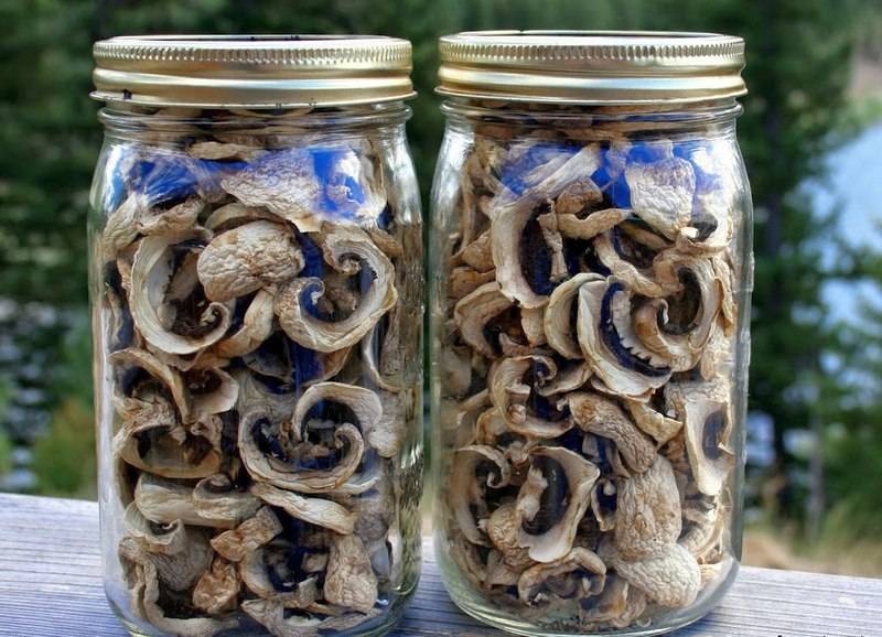 Как хранить сушеные грибы в домашних условиях