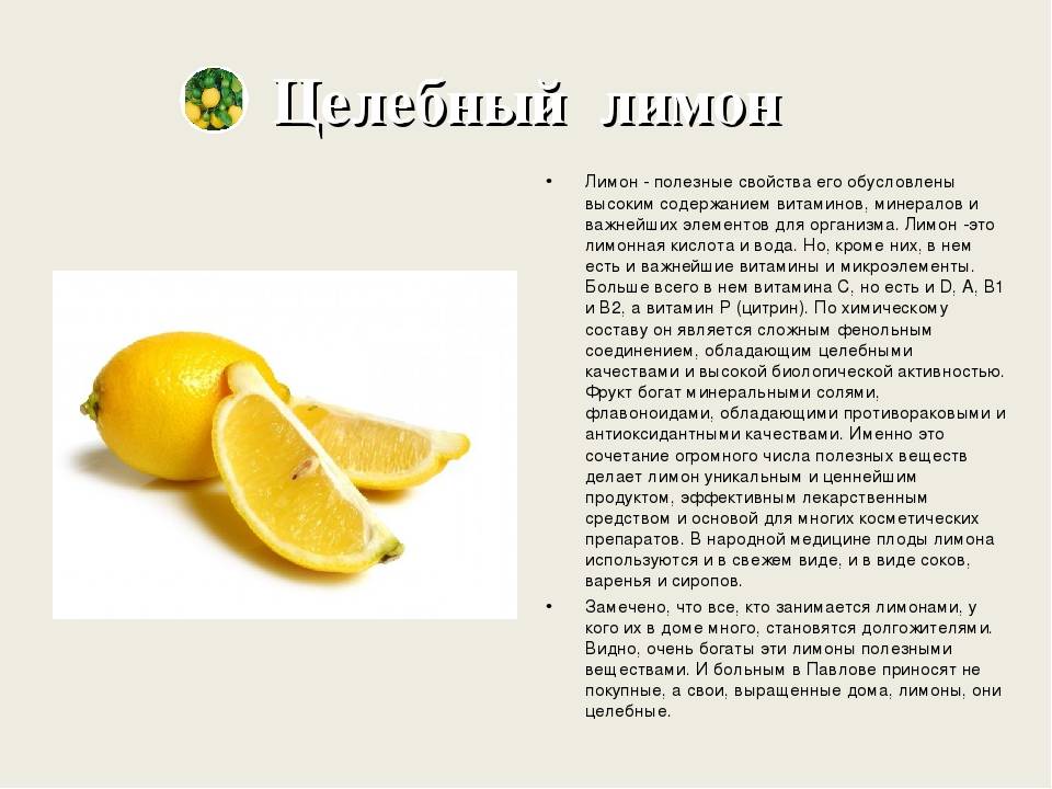 Лимонник