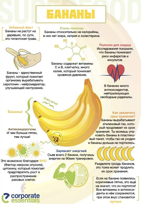 Польза и вред бананов для мужчин и женщин