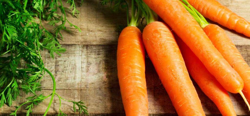 Ботва моркови – полезные свойства и противопоказания, как применять