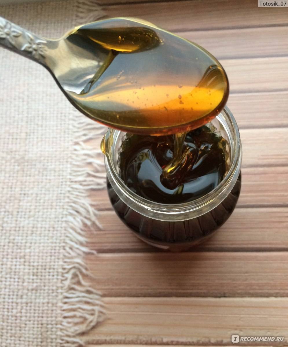 Каштановый мёд — польза и вред, как принимать для здоровья