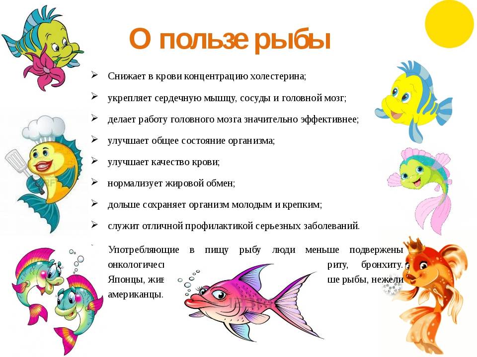 Рыба щука: в чем ценность диетического продукта и какова ее калорийность?