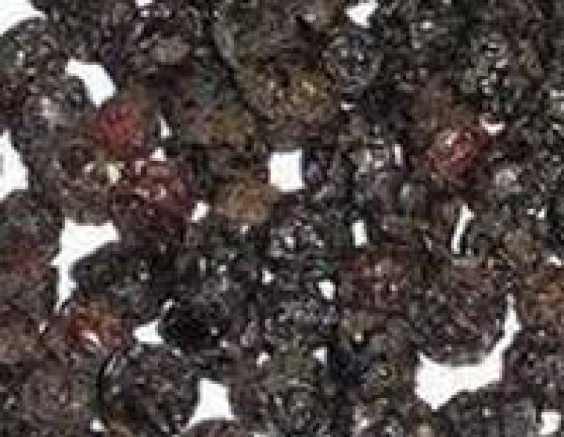 Можно ли сушить черноплодку на зиму. как высушить черноплодную рябину в домашних условиях