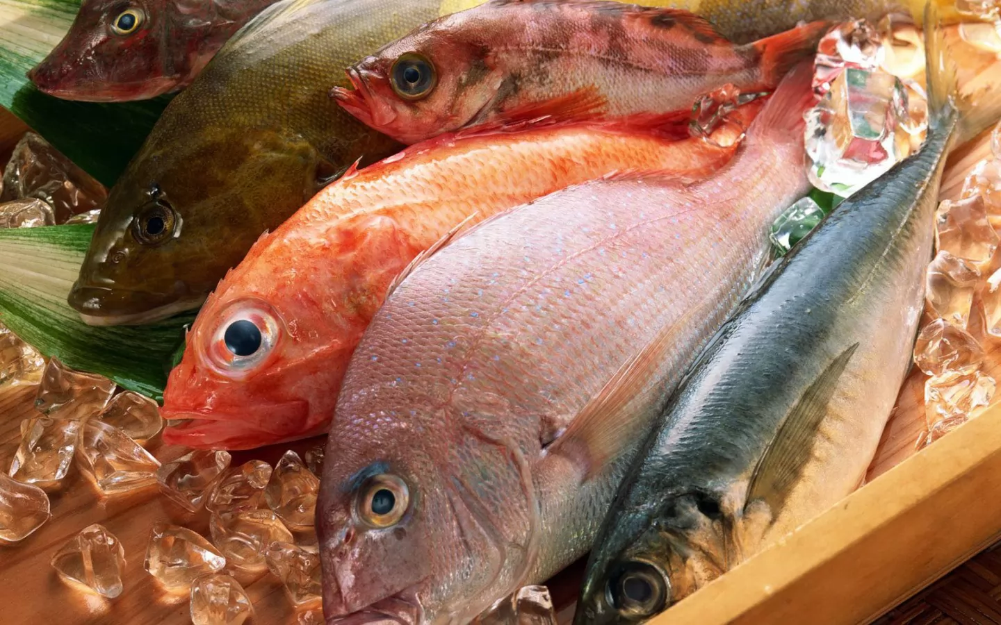 Какая рыба для похудения самая полезная? топ-6 диетических видов