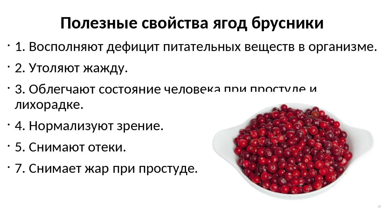 Целебное и вкусное лакомство: ягоды брусники — полезные свойства и противопоказания