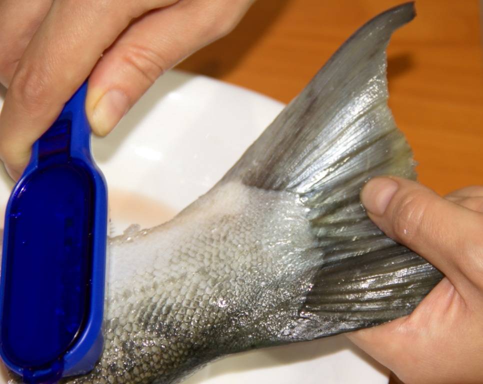 Как быстро почистить рыбу от чешуи: полезные советы
