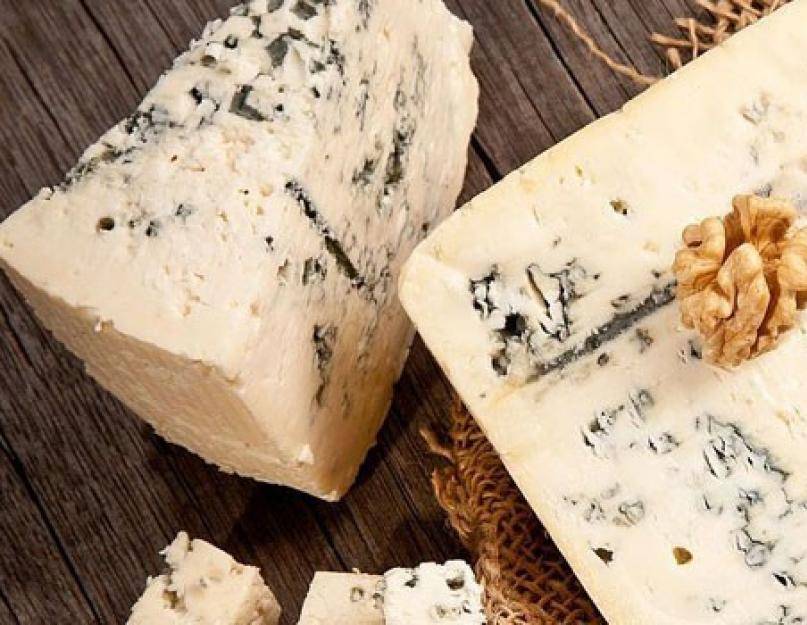 Сыр с плесенью — польза и вред изысканного продукта
