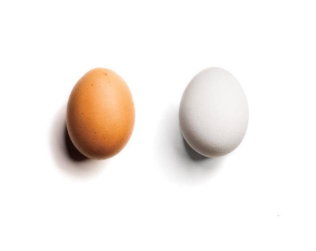 Чем белые яйца отличаются от коричневых