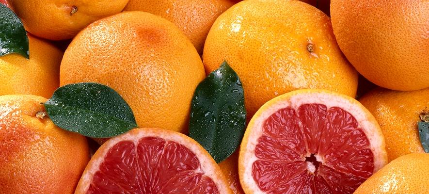 Грейпфрут польза и вред для организма противопоказания