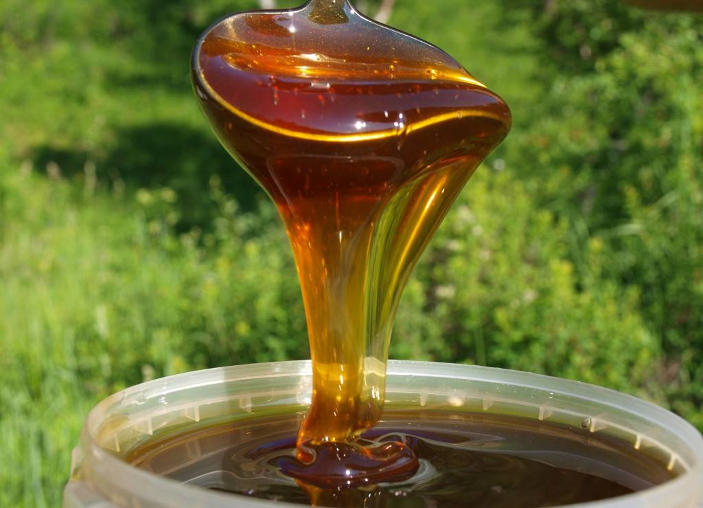 Горный мед — полезные свойства и противопоказания