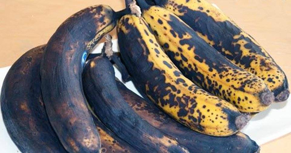 Почему чернеют бананы. Черный банан. Почерневший банан. Испорченные бананы. Гниющий банан.