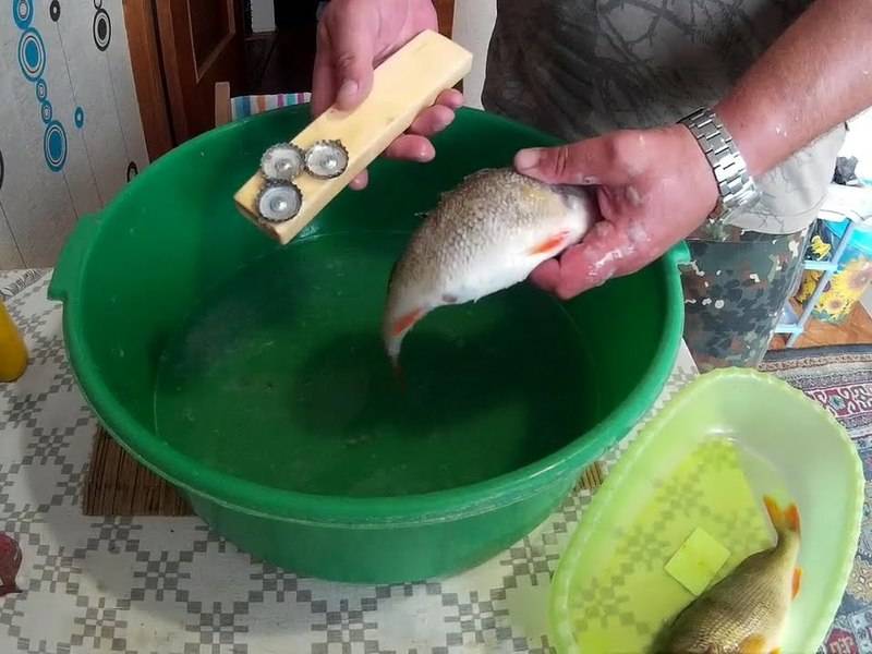 Как моментально почистить рыбу от чешуи в домашних условиях — самый быстрый и чистый способ