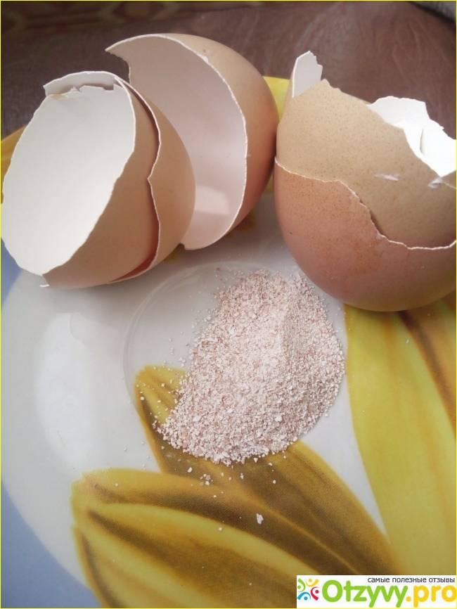 Целебные свойства яичной скорлупы: простейший способ быть здоровым