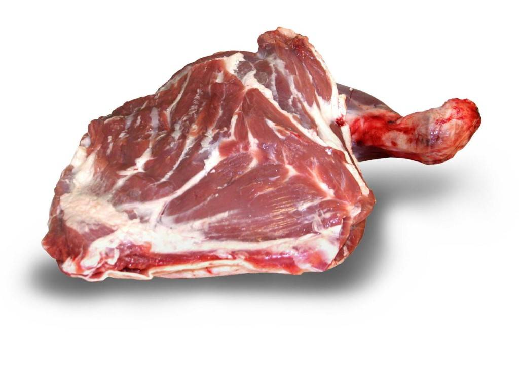 Мясо козлятины польза и вред