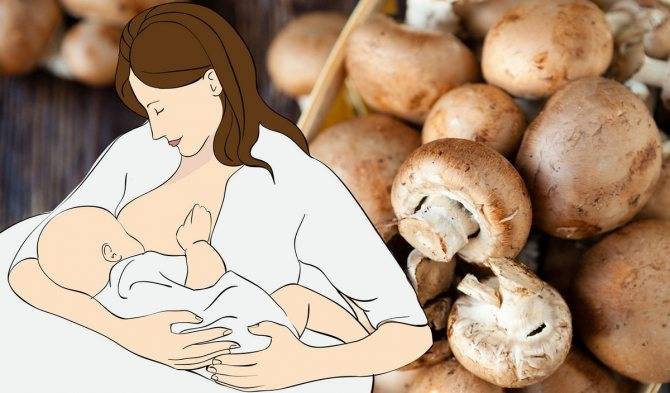 Как правильно включать в рацион кормящей женщины грибы