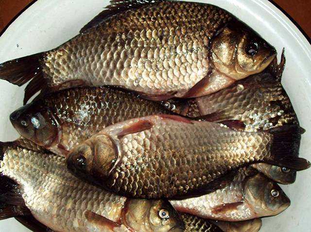 Жареный, вяленый, сушеный, вкусный в любом виде — карась: какова ценность речной рыбки, ее вкусовые качества и калорийность