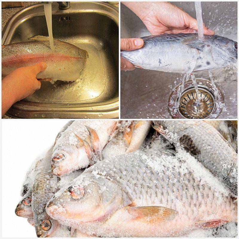 Полезные советы, как быстро разморозить рыбу