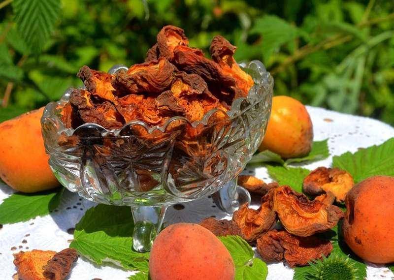 Как приготовить сушеные абрикосы без косточек в домашних условиях