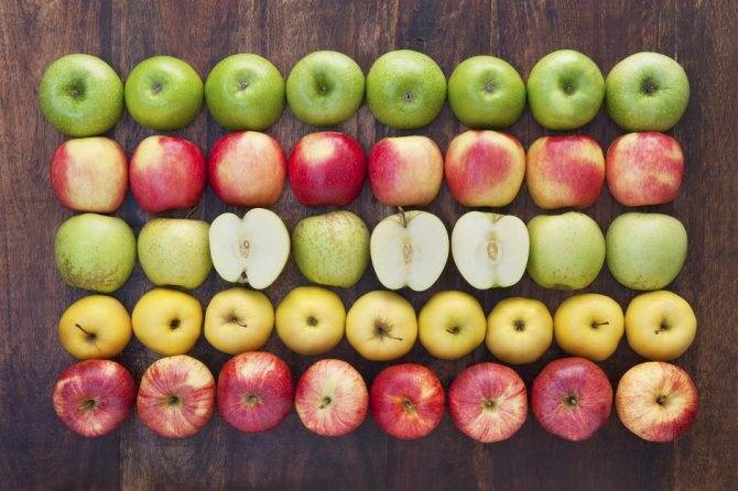 Можно ли и как употреблять зеленые яблоки при грудном вскармливании?