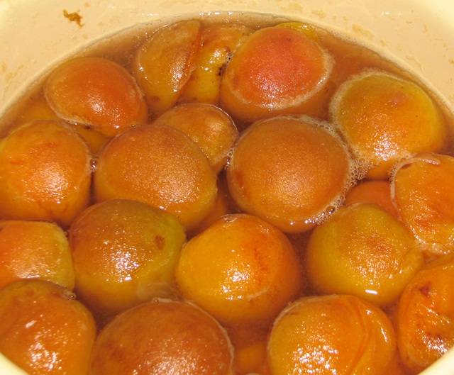 Как сушить абрикосы на курагу в домашних условиях