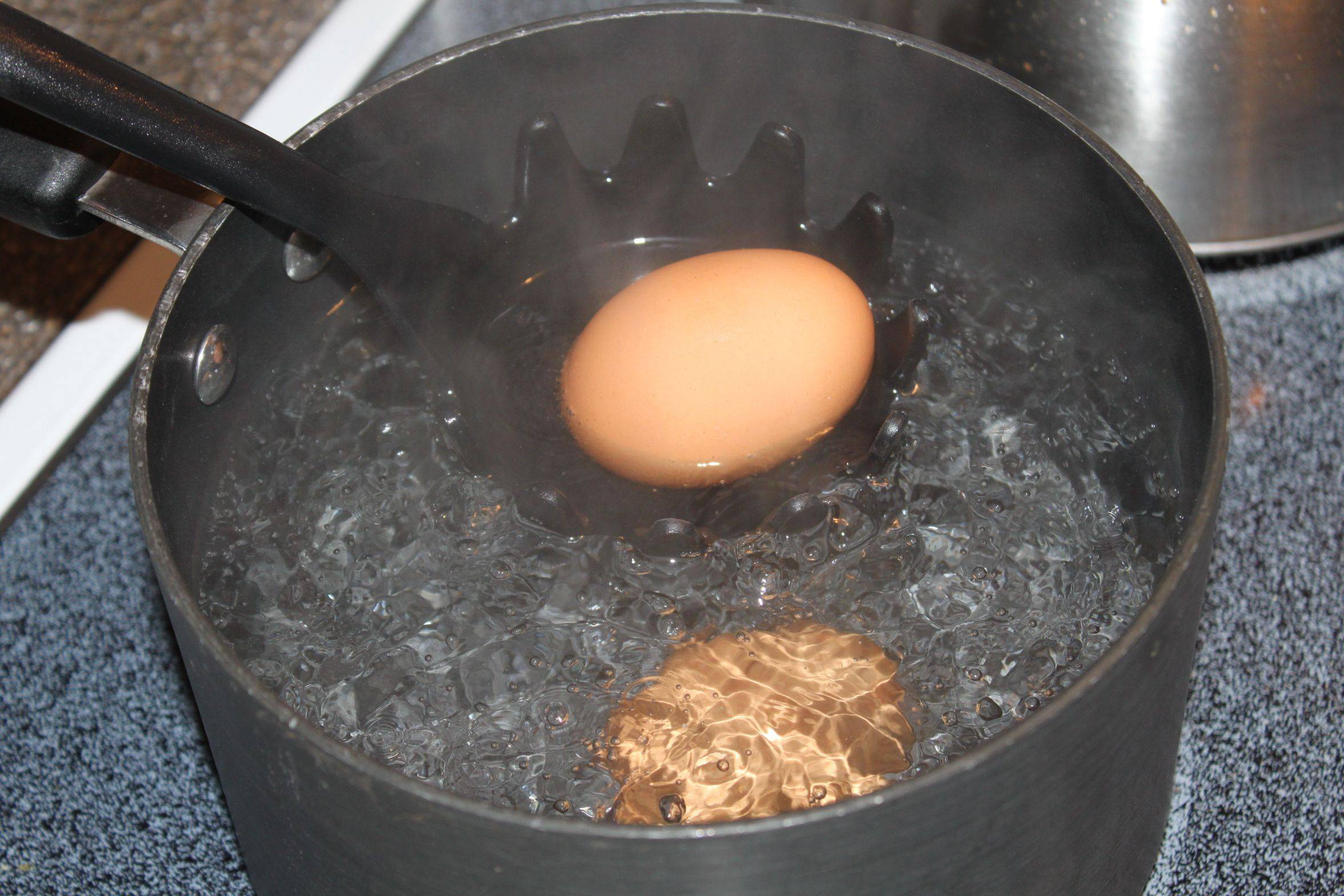 Как и сколько варить гусиные яйца