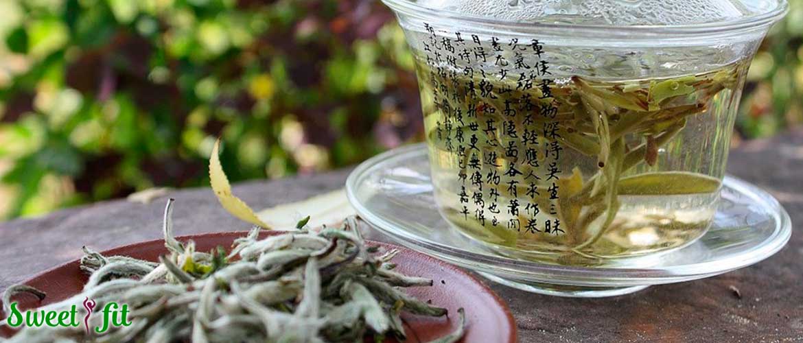 Чай кудин — польза и вред для здоровья