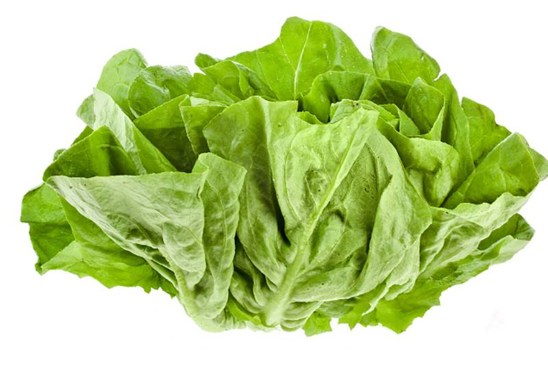 Всё о пользе и вреде салата латука для здоровья человека: рекомендации по употреблению и рецепты использования