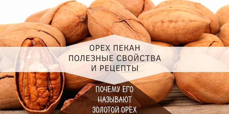 Полезные свойства ореха пекан — обзор состава, виды, применение в кулинарии и нормы потребления (100 фото)