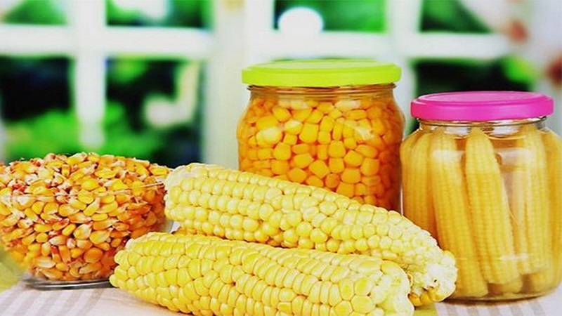Обычная консервированная кукуруза, польза и вред