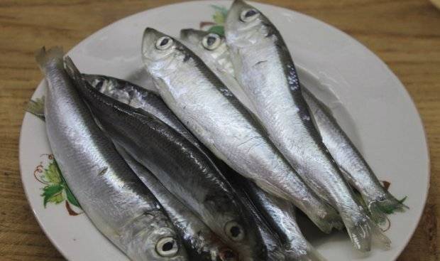 Рыба пеленгас: польза, калорийность | вкусные  рецепты