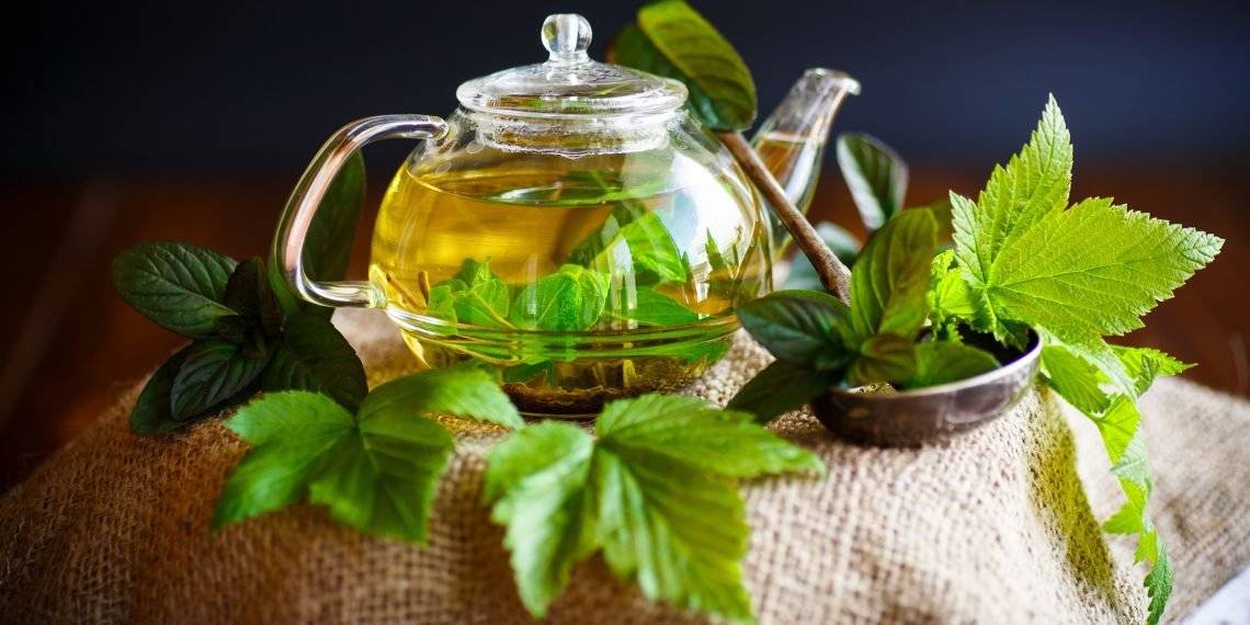Чай из листьев смородины – польза и вред