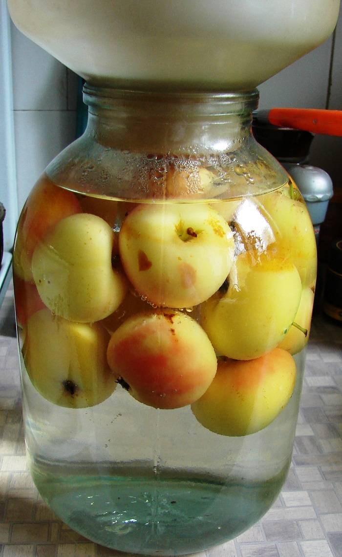 Яблочный компот из свежих яблок на зиму в 3-х литровой банке