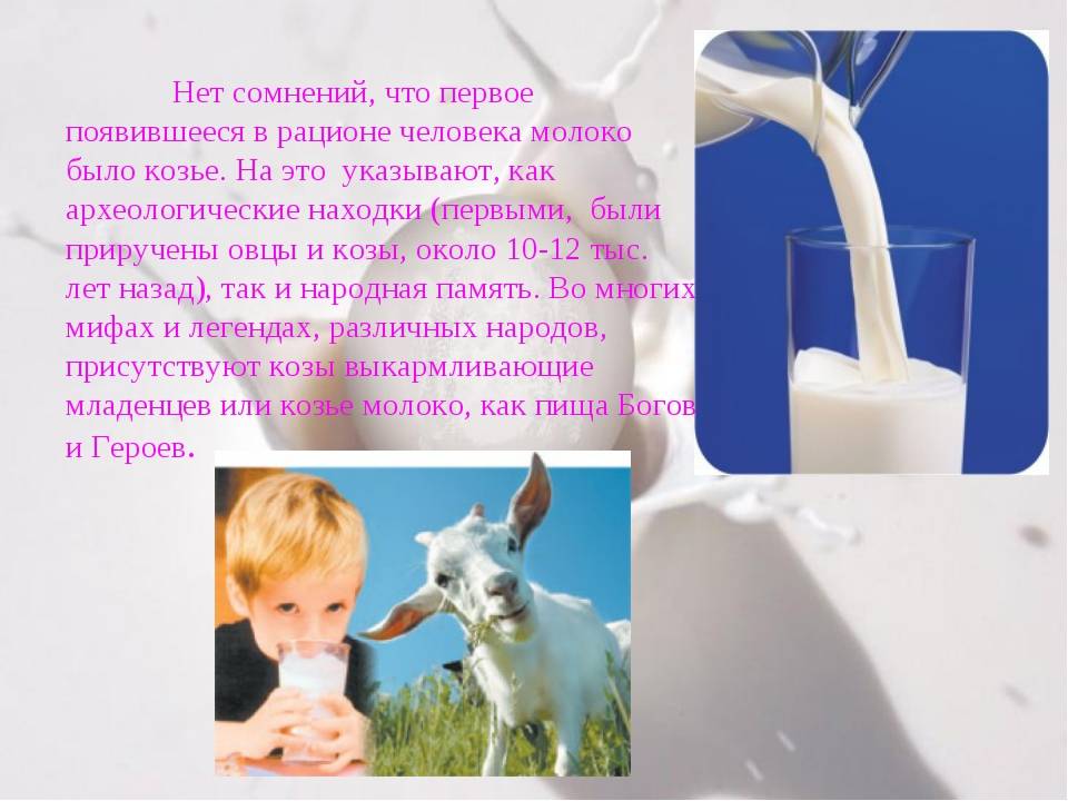 “полезные свойства козьего молока, рецепты и противопоказания”