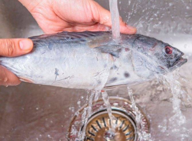 Как быстро разморозить рыбу: 5 способов