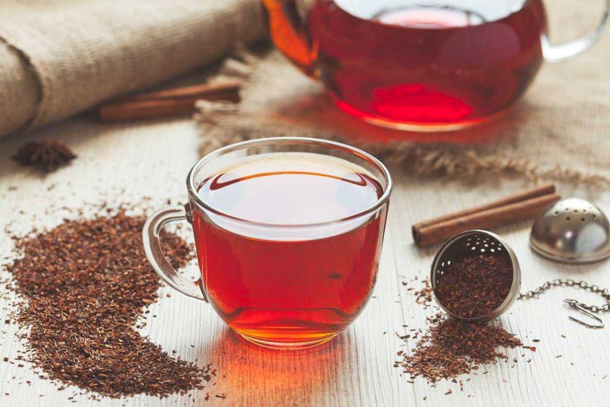 Полезные свойства чая ройбуш – африканского источника здоровья и красоты
