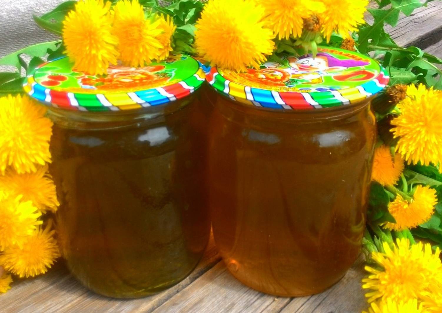 Вкусный и полезный мед из одуванчиков: расскажем все о его пользе и вреде для организма