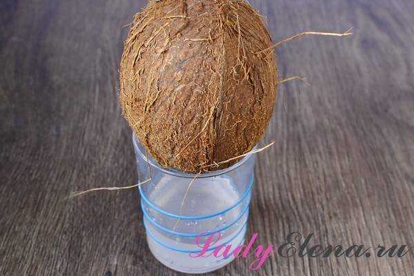 3 рецепта съедобной косметики из кокоса