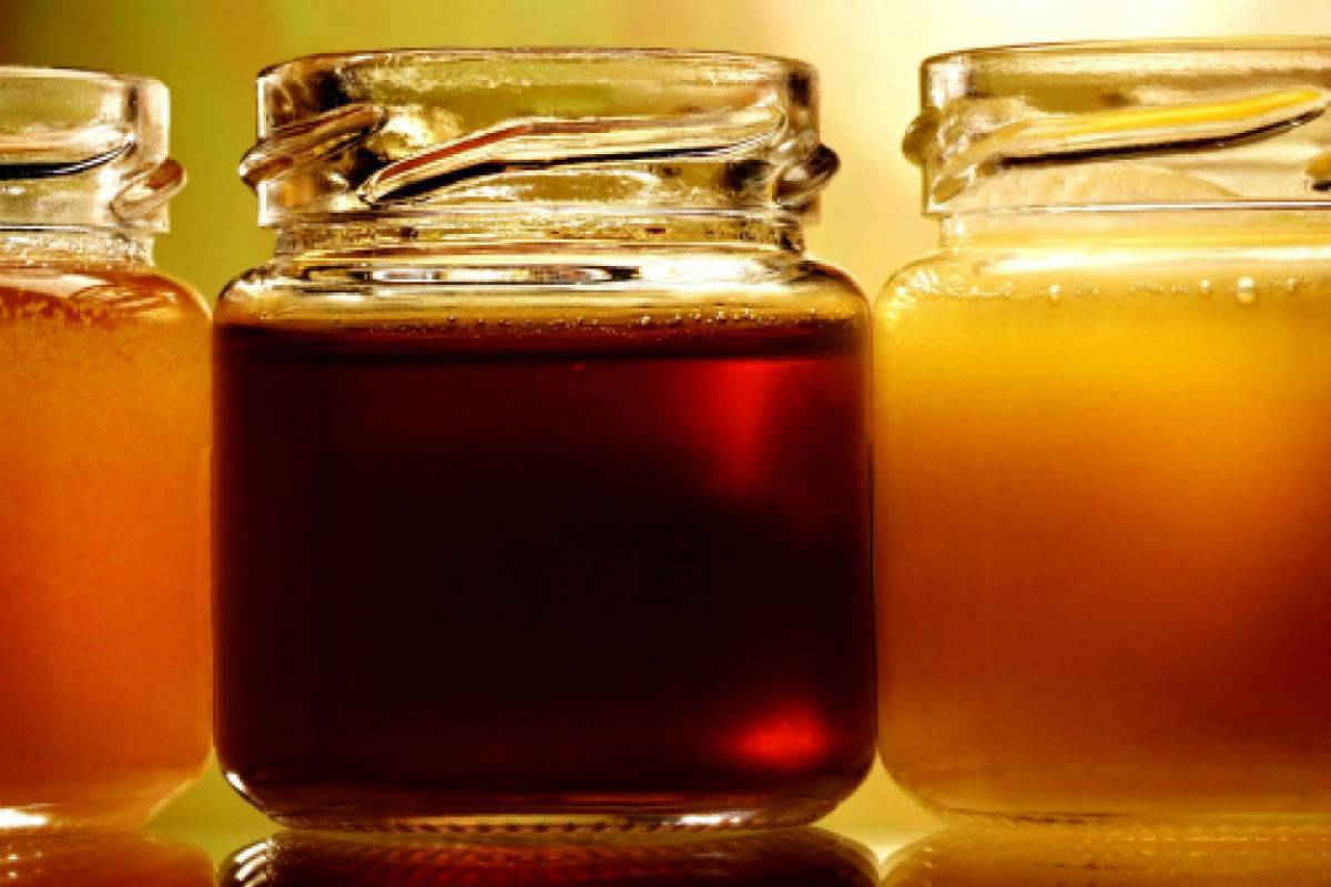 Гречишный мед: польза и вред, из чего делают