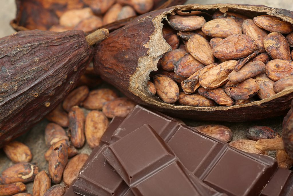Все о какао-бобах в народной медицине