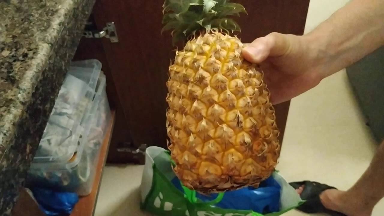 Как дома сохранить ананас