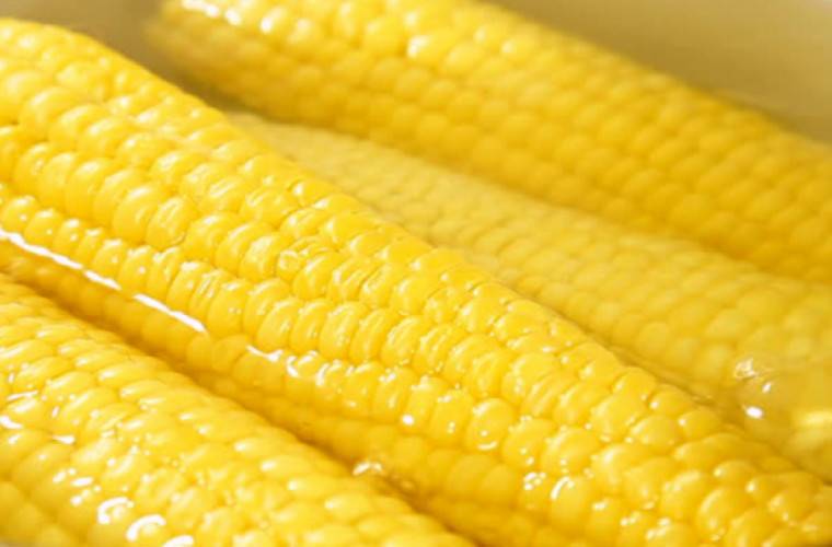 Вареная кукуруза: польза и вред для здоровья