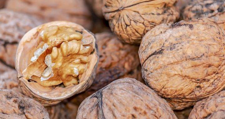 Польза и вред грецкого ореха для мужчин, включая влияние на потенцию и сердце. всё о продукте и его потреблении
