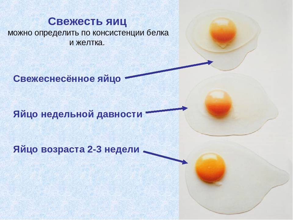 Как проверить свежесть яиц в домашних условиях