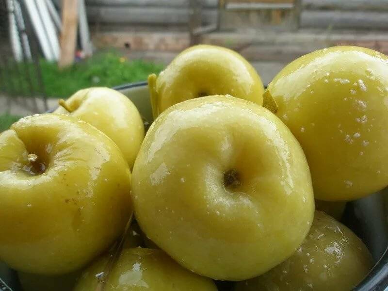 Польза и вред яблок для здоровья