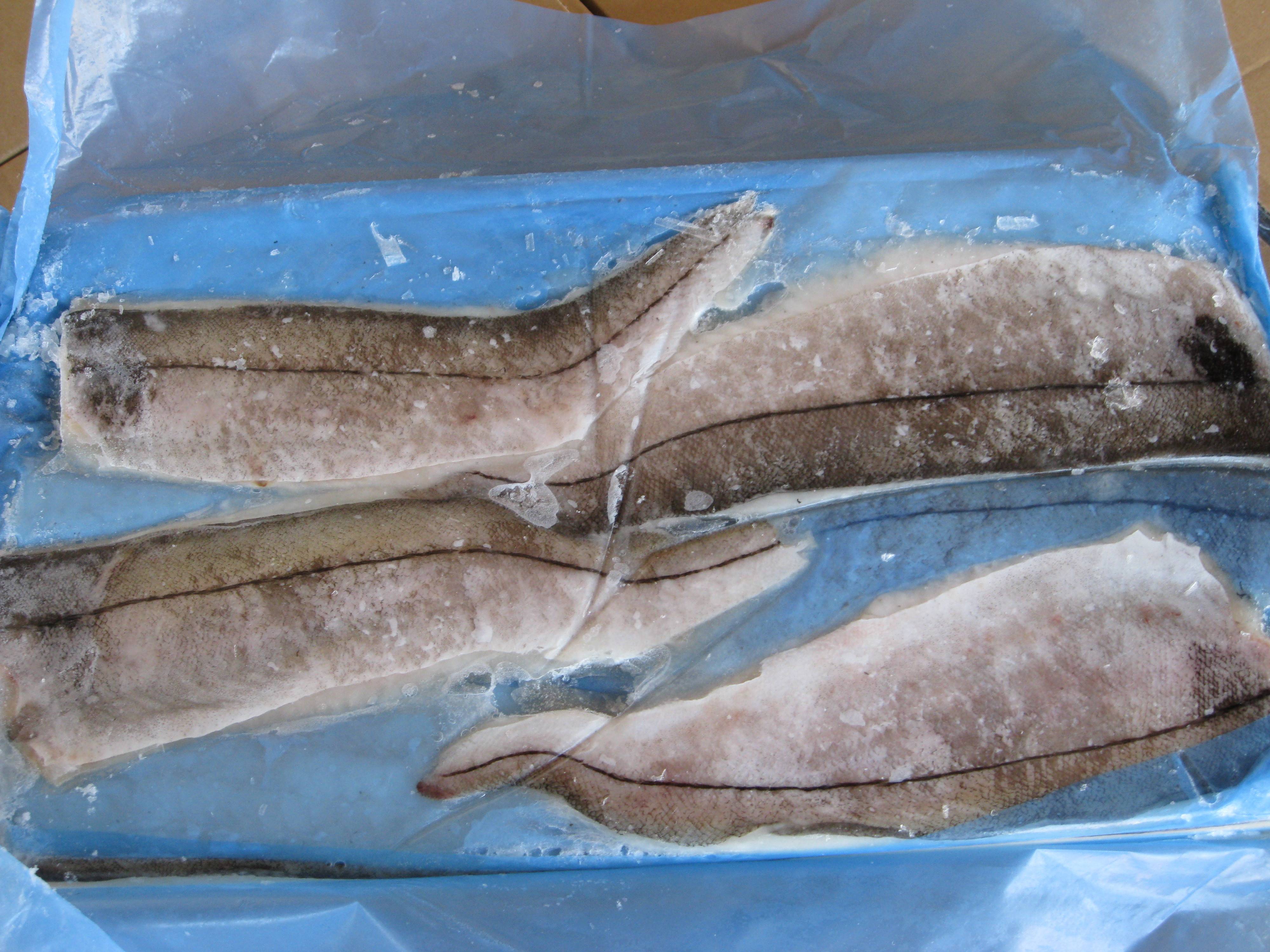 Рыба пикша: польза и вред морской обитательницы